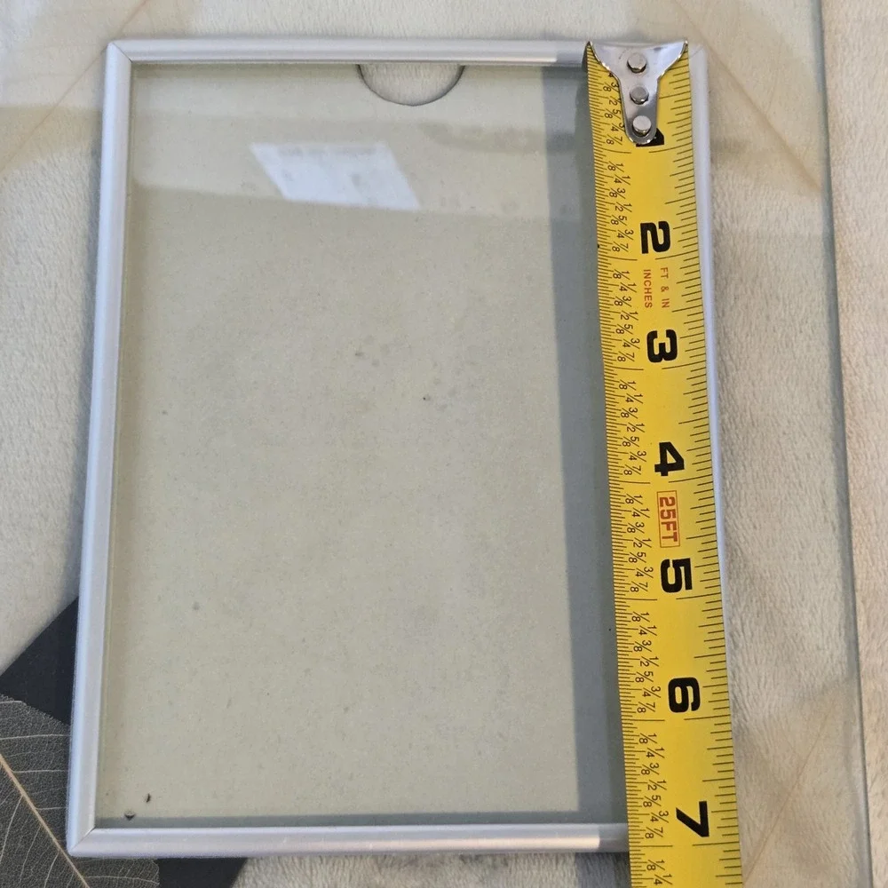 Ganz Glass Picture Frame 5x7 Real Pressed Leaf Botanical Silver EJ9883